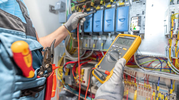 Best Electric Panel Repair  in Rutledge, TN